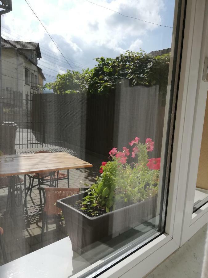 Vintage Apartment - Ultracentral, 2 Dormitoare Sighisoara Ngoại thất bức ảnh